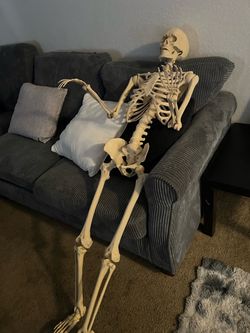 Holloween skeleton 💀