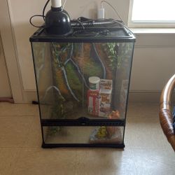Exetera Paludarium