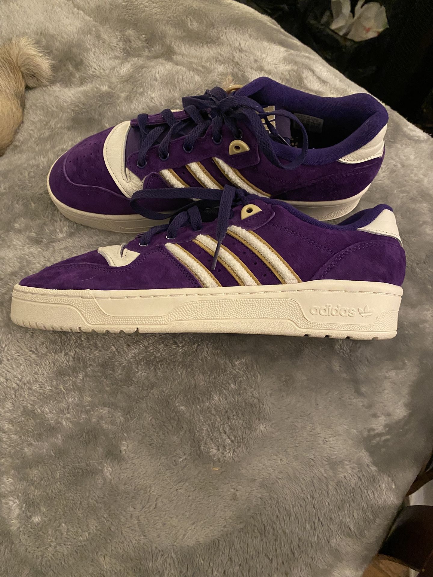 Purple suede Adidas