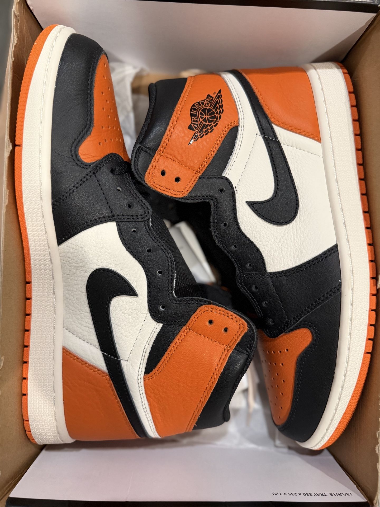 Air Jordan 1 Shattered Backboard (2015)