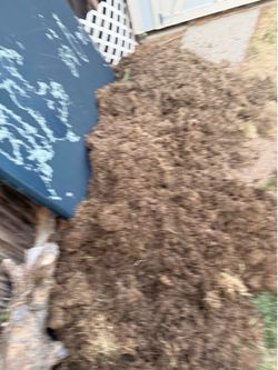 Dirt
