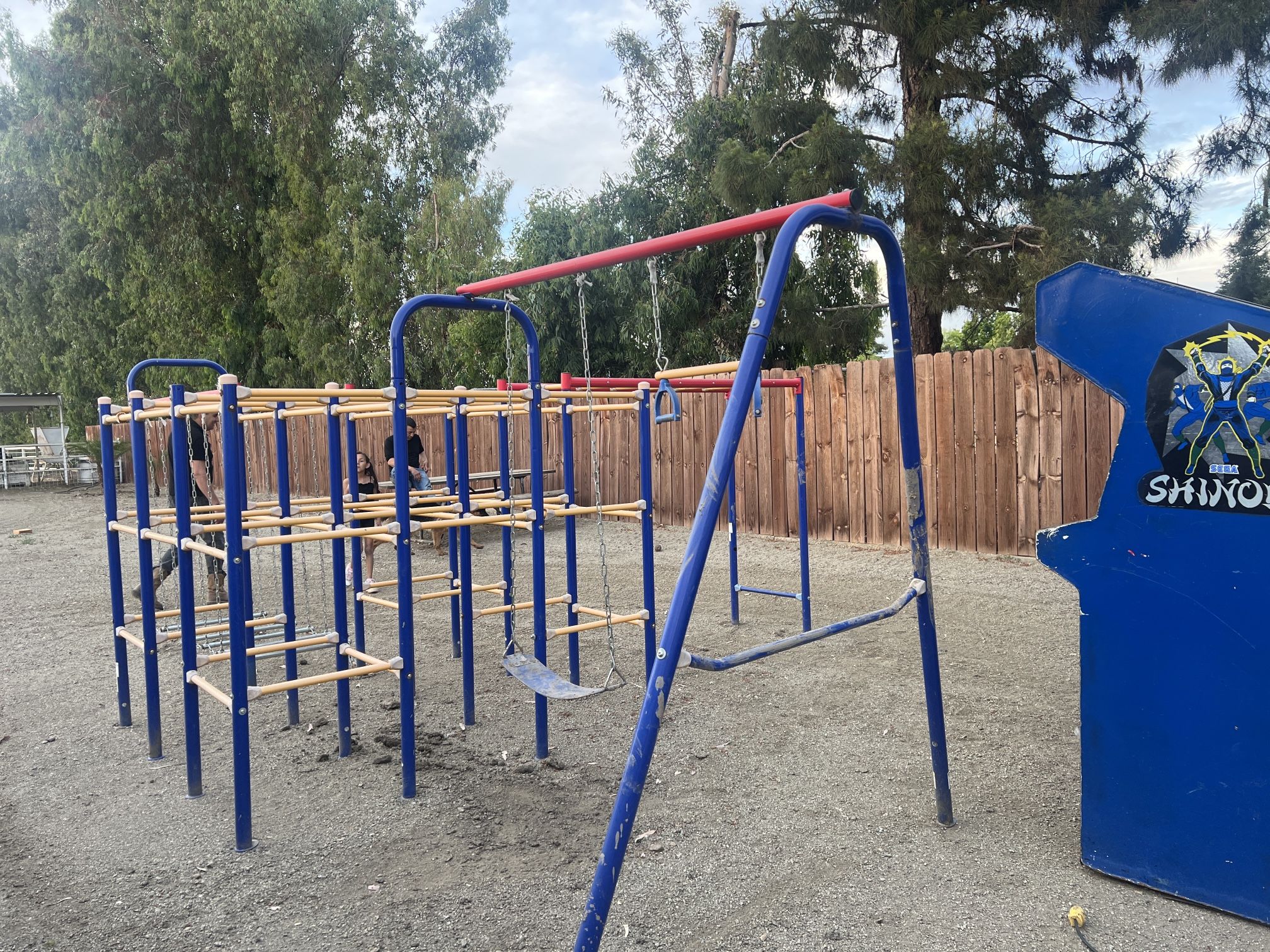 Jungle Gym