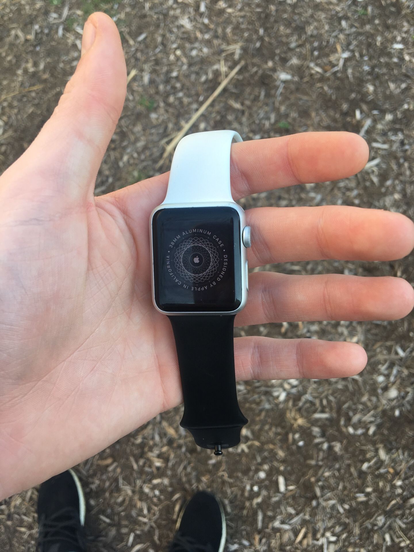 Series 3 Apple Watch