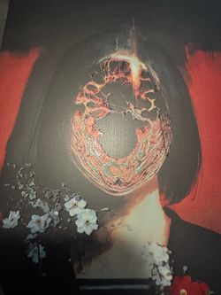 Silent hill f Steelbook