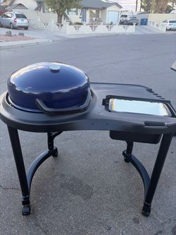 Electric BBQ grill with cart