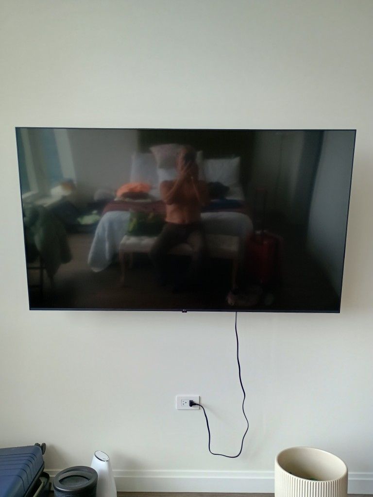 65 Inch Flat Panel LG TV Mount Included.