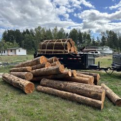Firewood Logs