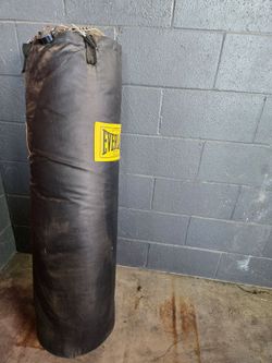 EVERLAST Punching Bag