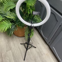 Ring Light With Stand 
