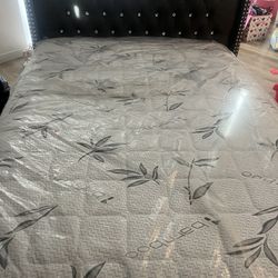 Queen Bed & Box Spring For Sale 