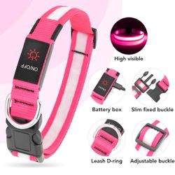 Light up Dog Collar For Small Dog