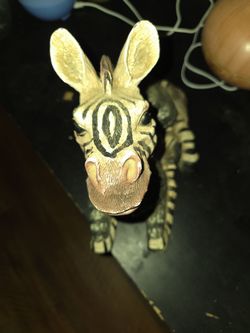 Zebra
