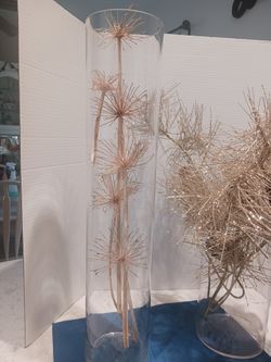 Cylinder Glass Vases. 