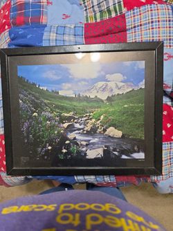 Mt.Rainier framed picture