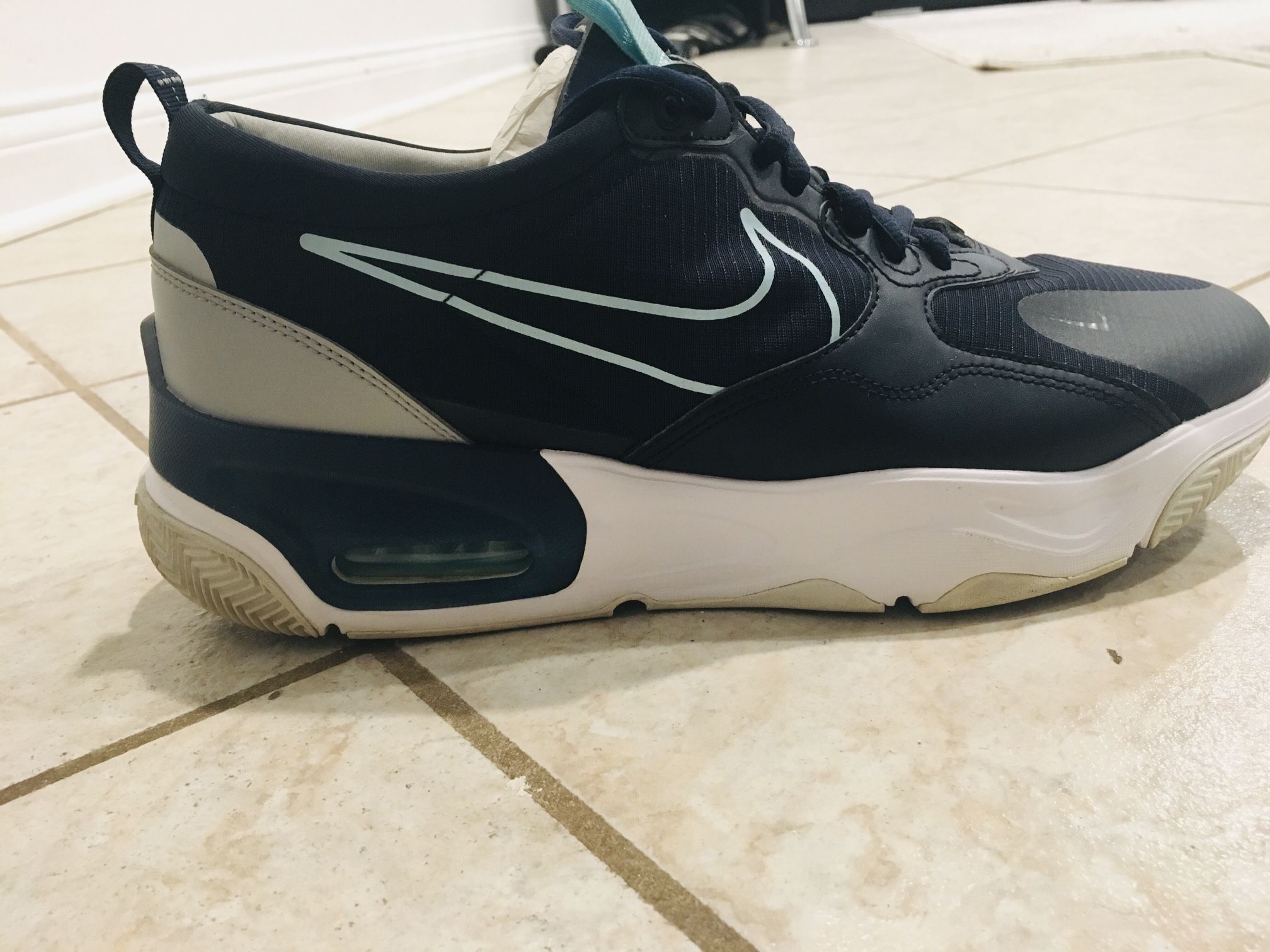 Nike Skyve Max