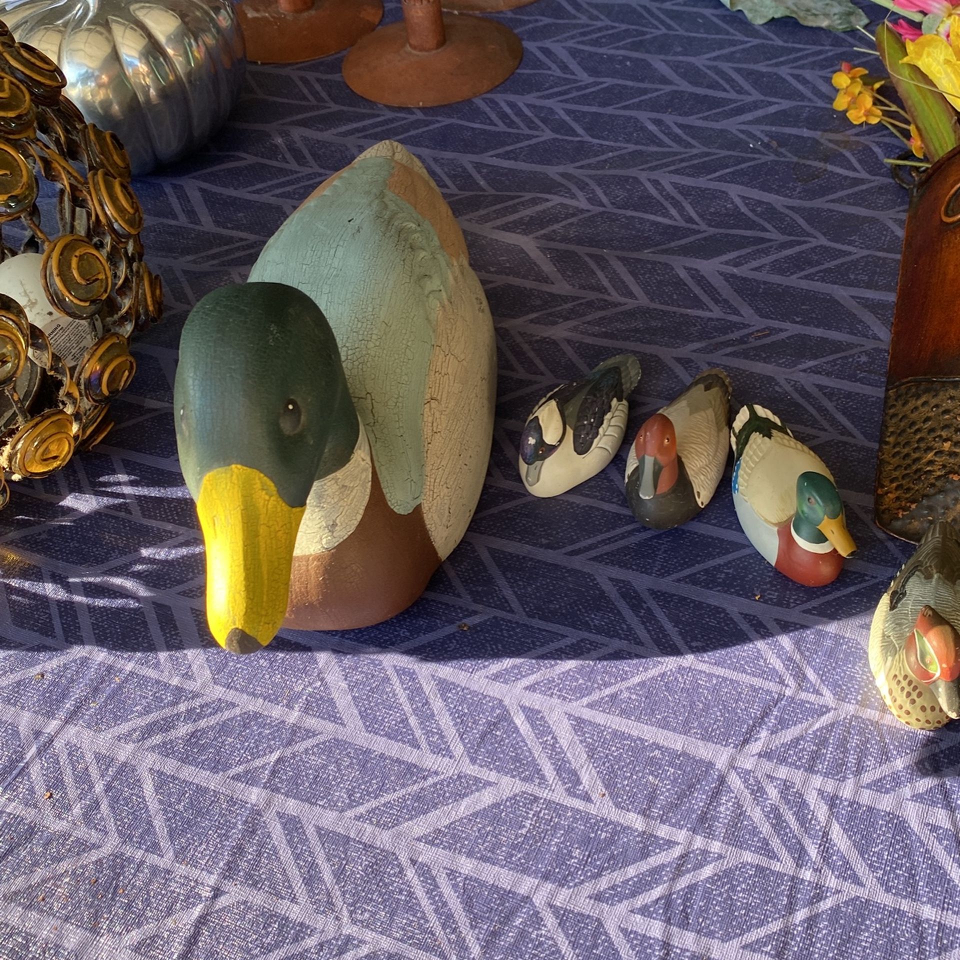 Duck Collection (5)duck Series.