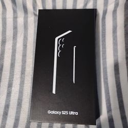 Samsung Galaxy S25 Ultra