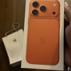 17 Pro 