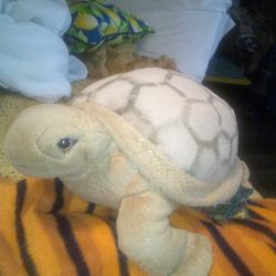 Turtle Plush Nature