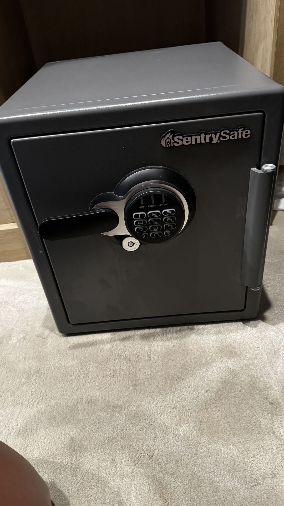 SentrySafe SFW123GDC Fireproof and Waterproof Safe