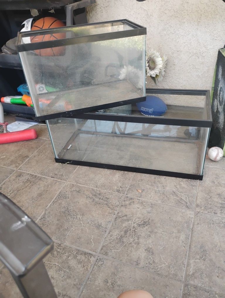 10 And 20 Gallon Fish Tanks