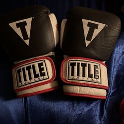Boxing Sparring ( Title Boxing Gloves )