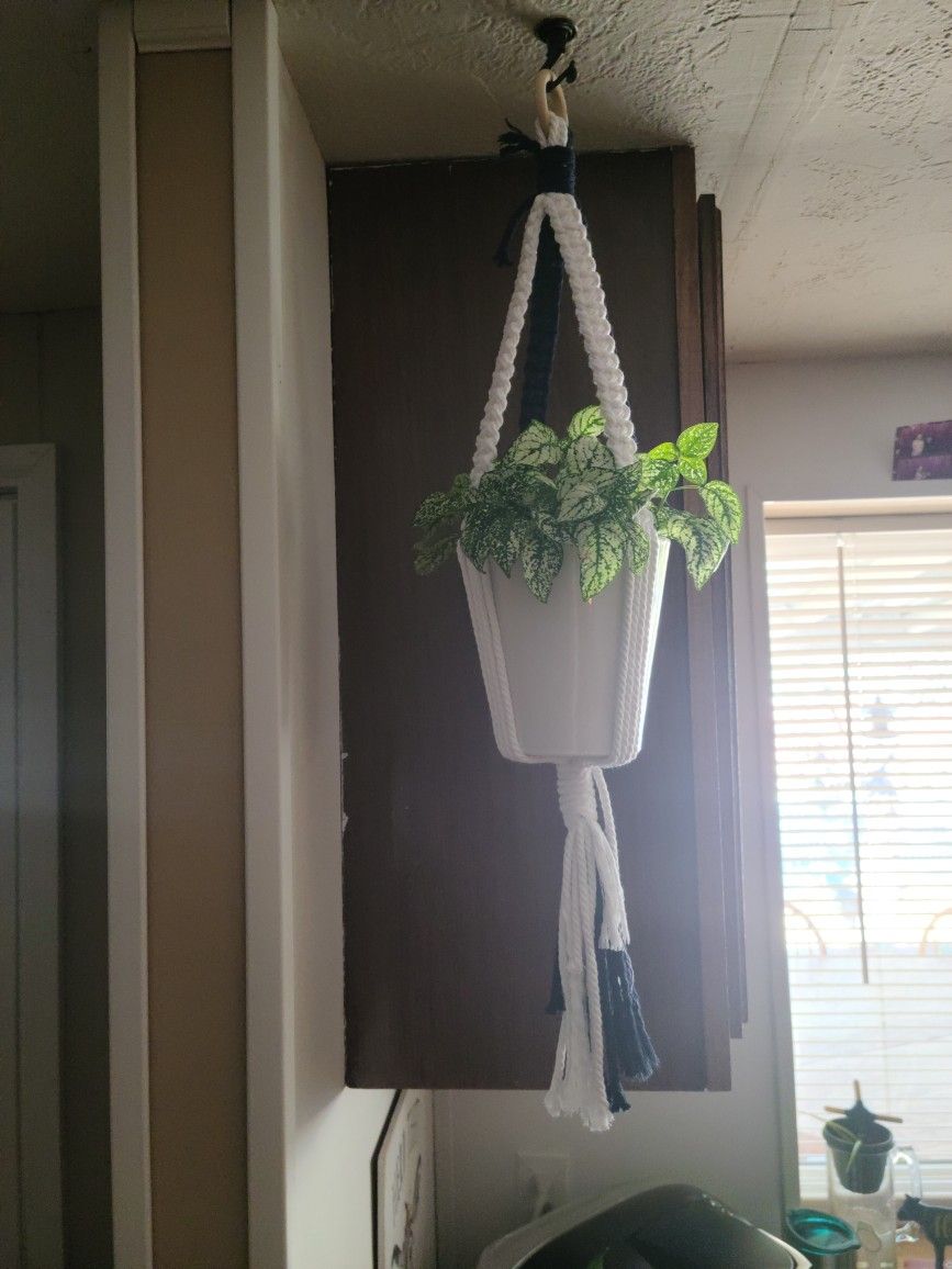 Plant Hanger