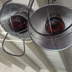 Chicken / Poultry / Supplies / Feeder / Lamps / Net / Incubator 