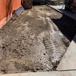 Grass Removal  Bobcat 