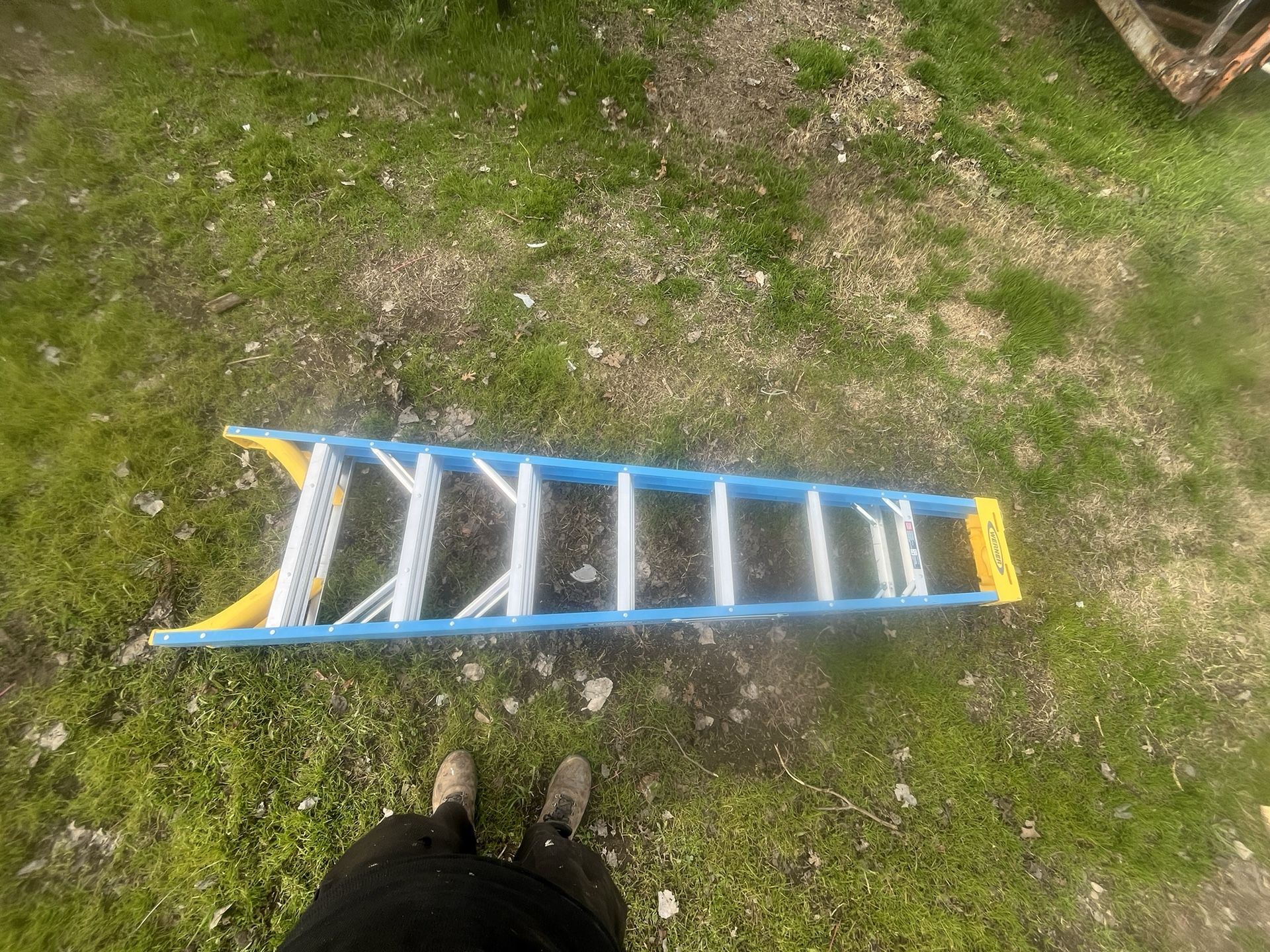 8ft Werner Ladder
