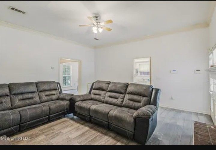 Two Sofa Couches
