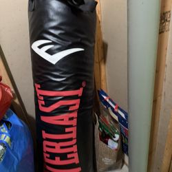 Everlast Punching Bag