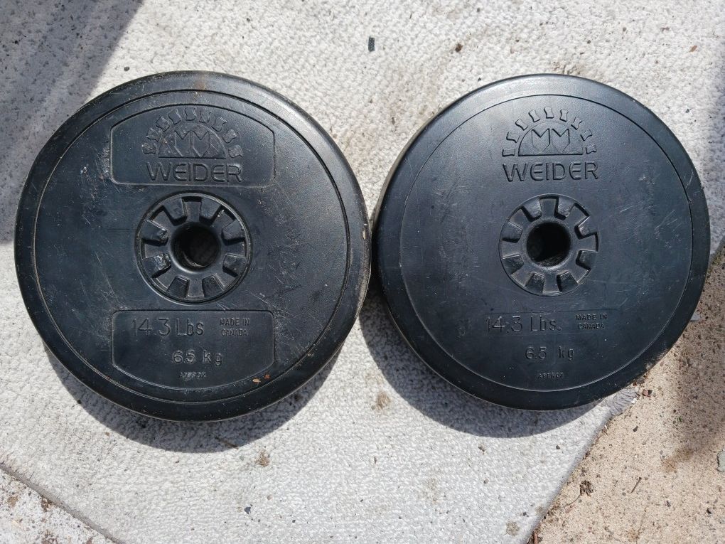 BARBELL Plates Weights 15 Lbs Each