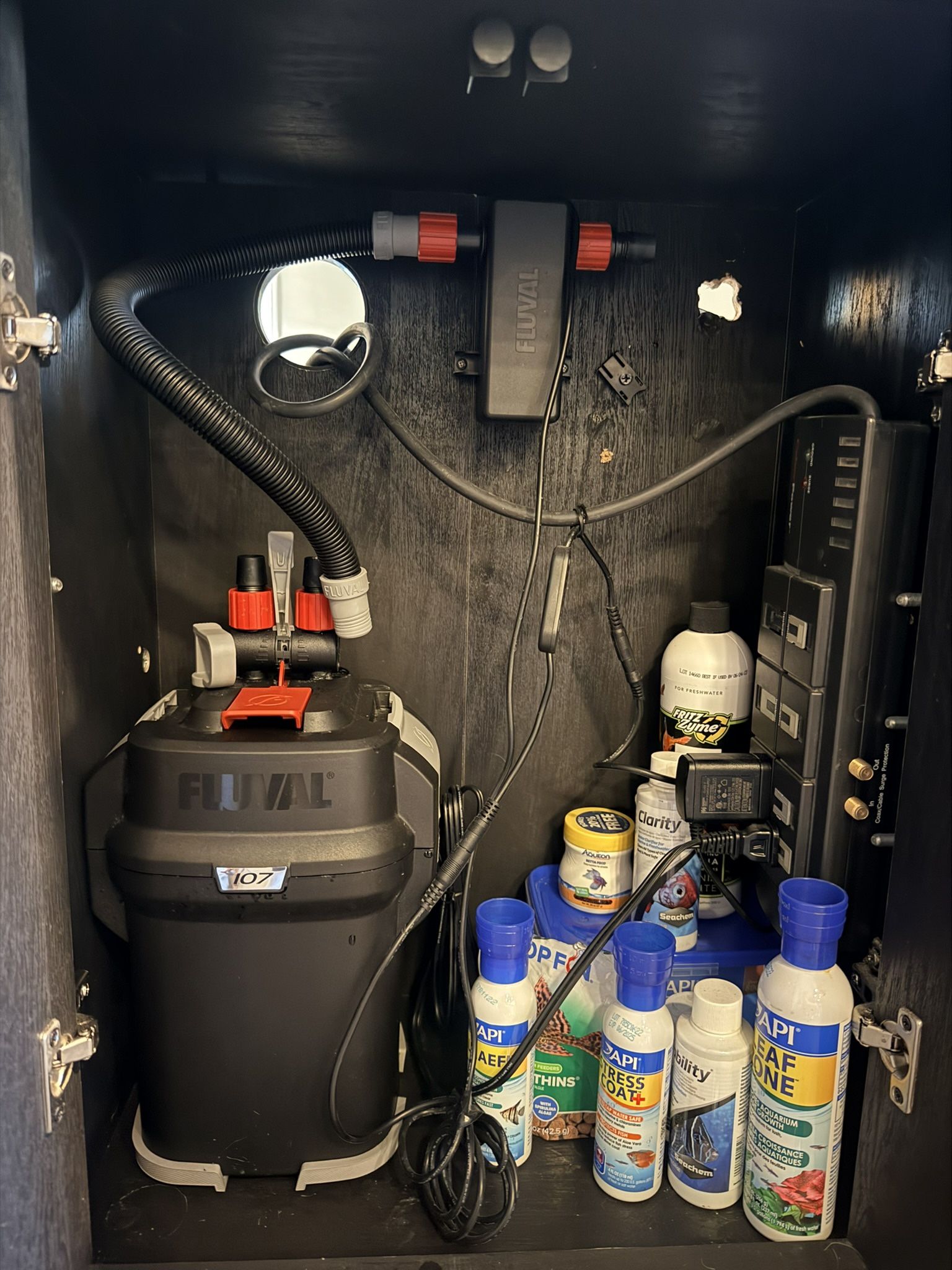 Full Fish Tank Setup