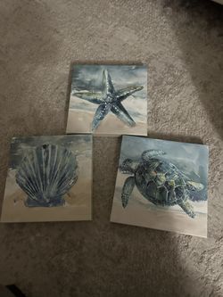 Sea Life Beach House Decor