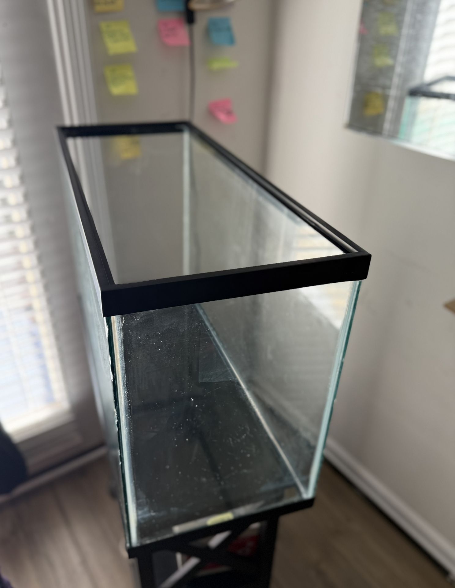 55 Gallon Tank WITH Water Filter