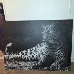 Big Leopard Canvas Picture 3 Feet By 2 Feet 