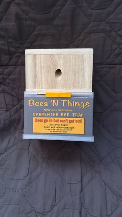 Bee Trap