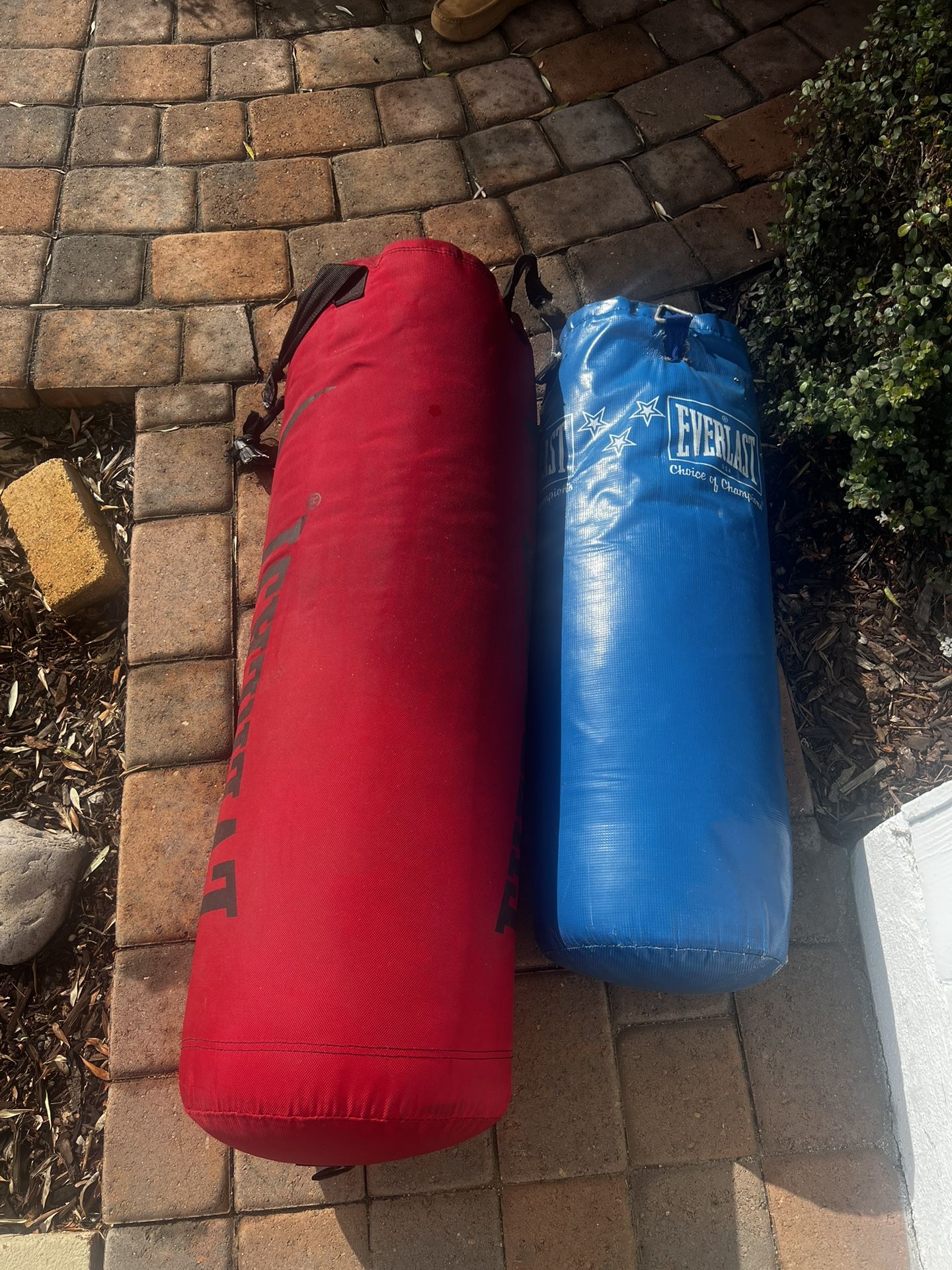 Everlast Punching Bags