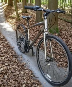 Fuji absolute 2.3
