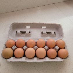 Eggs $5