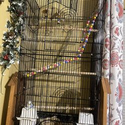 Cage/bird 
