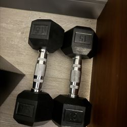 15 lb Dumbbells (Pair – Black Rubber Hex)