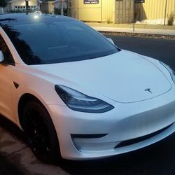 2019 Tesla Model 3 White