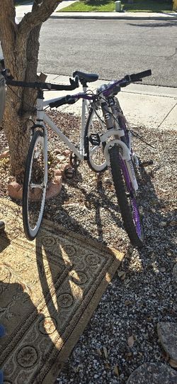 Bike's