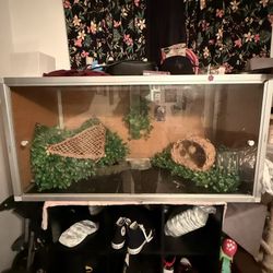 Reptile Tank Everything Inside Included 
