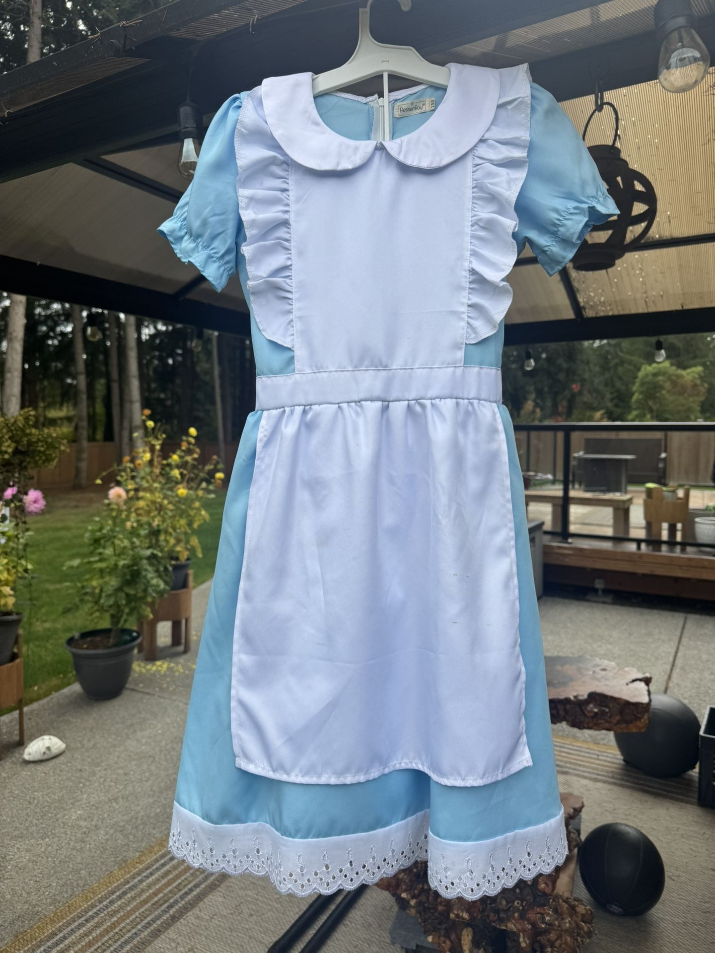 Alice In Wonderland Dress Halloween Costume