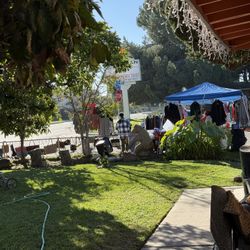 🔥 YARD SALE TODAY — EVERYTHING MUST GO! 🔥