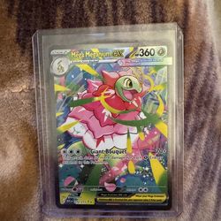 Ascended heroes Pokemon