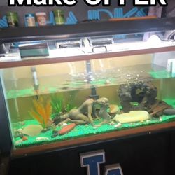Fish TANK 40GALLON  COMPLETE ALL